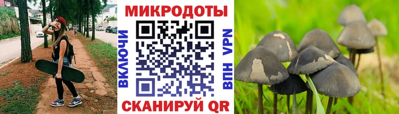 blacksprut сайт  Полтавская  Галлюциногенные грибы прущие грибы  купить закладку 