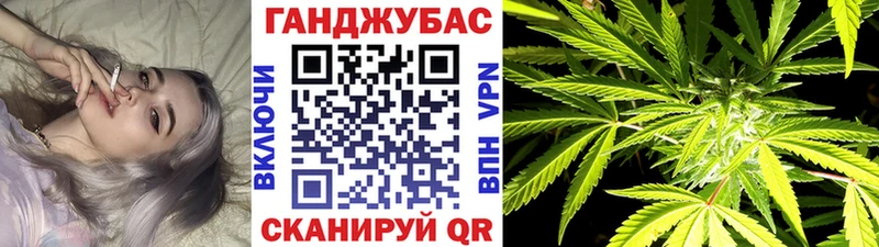 Бошки марихуана сатива  Полтавская 